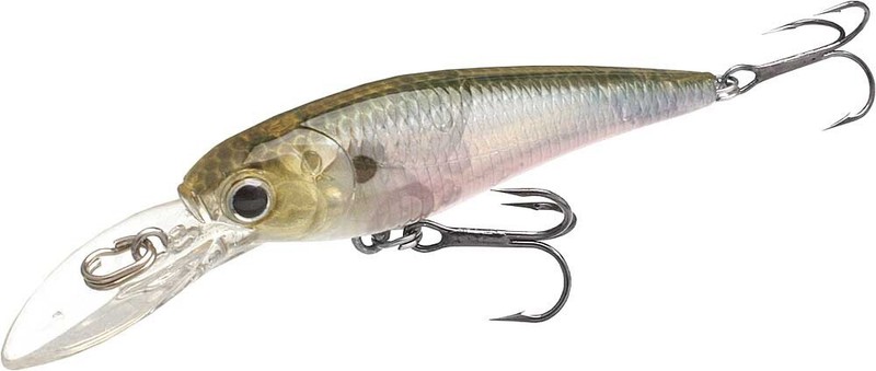 lucky craft bevy shad
